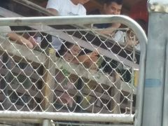 -石家庄市动物园