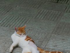 -晓港公园