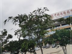 -中国丹阳眼镜城