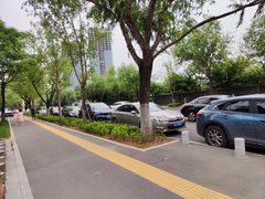 -灞河西岸滨河公园