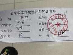 -北京观赏动物医院·24小时大型综合·猫专科·异宠专科