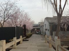 -三里河公园