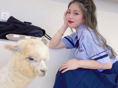 -怪兽屋·羊驼·猫咖·狗咖(俊华广场店)