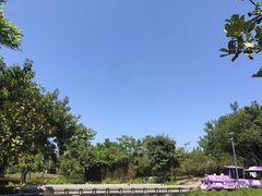 -厦门园林博览苑
