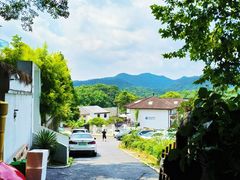 -马灯部落·西湖边的创意山景餐厅(虎跑动物园店)