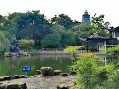 -红梅公园