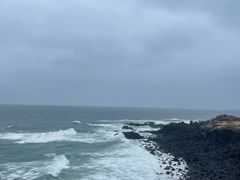 -涉地可支