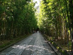 -蝴蝶泉公园