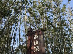 -东莞市大岭山森林公园