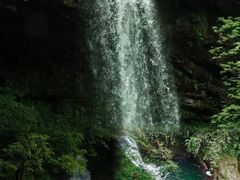 -龙苍沟森林公园