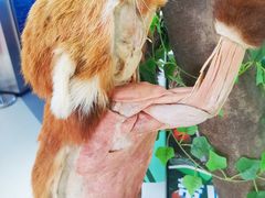 -生命奥秘博物馆