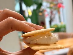 -三圣花乡旅游区