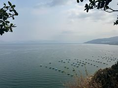 -抚仙湖禄充风景区