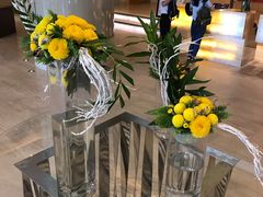 -芽庄喜来登水疗酒店