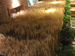 -鄱阳湖·江西小炒·瓦罐煨汤(五道口店)