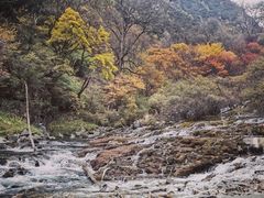 -叠溪松坪沟景区