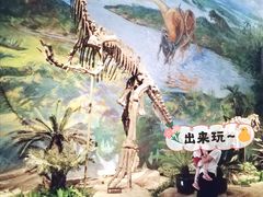 -自贡恐龙博物馆