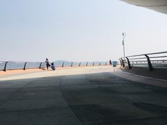 -演武大桥观景平台