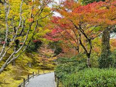 -天龙寺