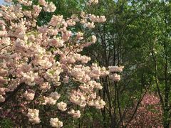 -江南大学(蠡湖校区)