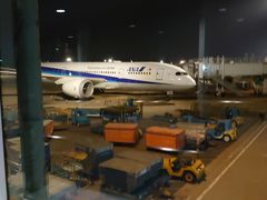 -胡志明新山一国际机场