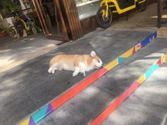 -771餐吧·咖啡·西餐·烤肉(金湖广场店)