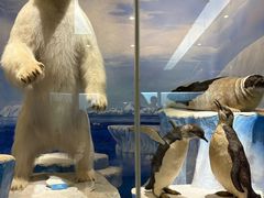 -国家自然博物馆