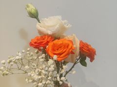 -Tomado绿色烘焙(大尧三路店)