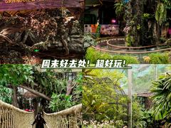 -正佳极地海洋世界