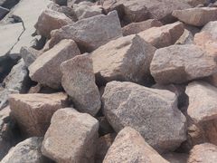 -深圳湾公园(南山区)