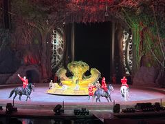 -广州长隆国际大马戏