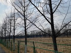 -汉景帝阳陵博物院