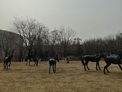 -国家动漫园