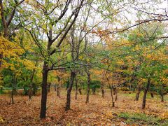 -长春公园(普阳街道)