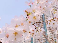 -西北湖绿化广场