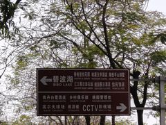 -南国桃园旅游度假区