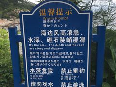 -广东惠东海龟国家级自然保护区