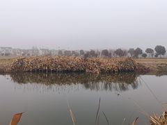 -上海杨姆庄园