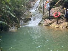 -南海湾森林生态园