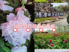 -洛阳市隋唐城遗址植物园