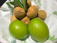 -季季山·云南野生菌火锅(上海首店)