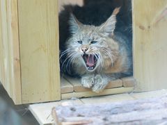 -青藏高原野生动物园