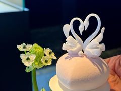 -BLACKSWAN黑天鹅(环球店)