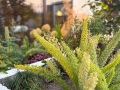 -漪龙台·B26 Rooftop Lounge