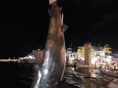 -Wahoo's Seafood Bar and Grill Restaurant