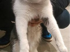 小灰-MIKAKU(万达广场上海宝山店)