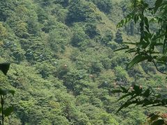 -青城山