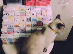 -吱咖啡西式简餐