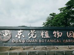 -东莞植物园