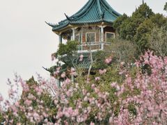 -无锡梅园公园